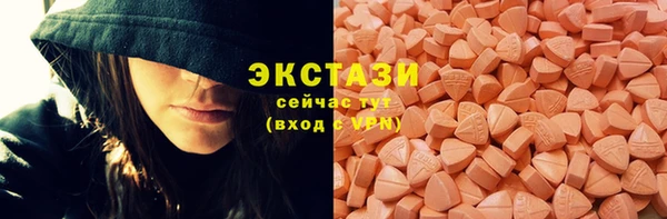дживик Краснослободск