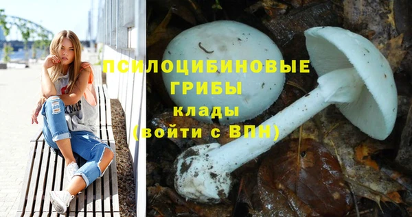 дживик Краснослободск