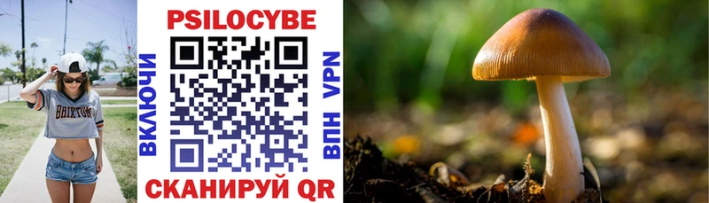 наркота  Льгов  мега ссылка  Галлюциногенные грибы Cubensis 